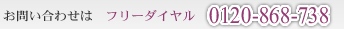 お問い合わせはフリーダイヤル0120-868-738まで