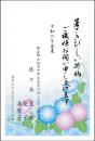 暑中葉書印刷 №⑤　10枚～100枚