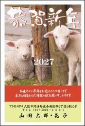 年賀状 特選カラー印刷 №407　10枚～100枚