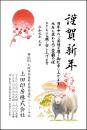 年賀状 カラー印刷 №301　10枚～100枚
