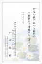 喪中葉書印刷　喪中⑧　10枚～100枚